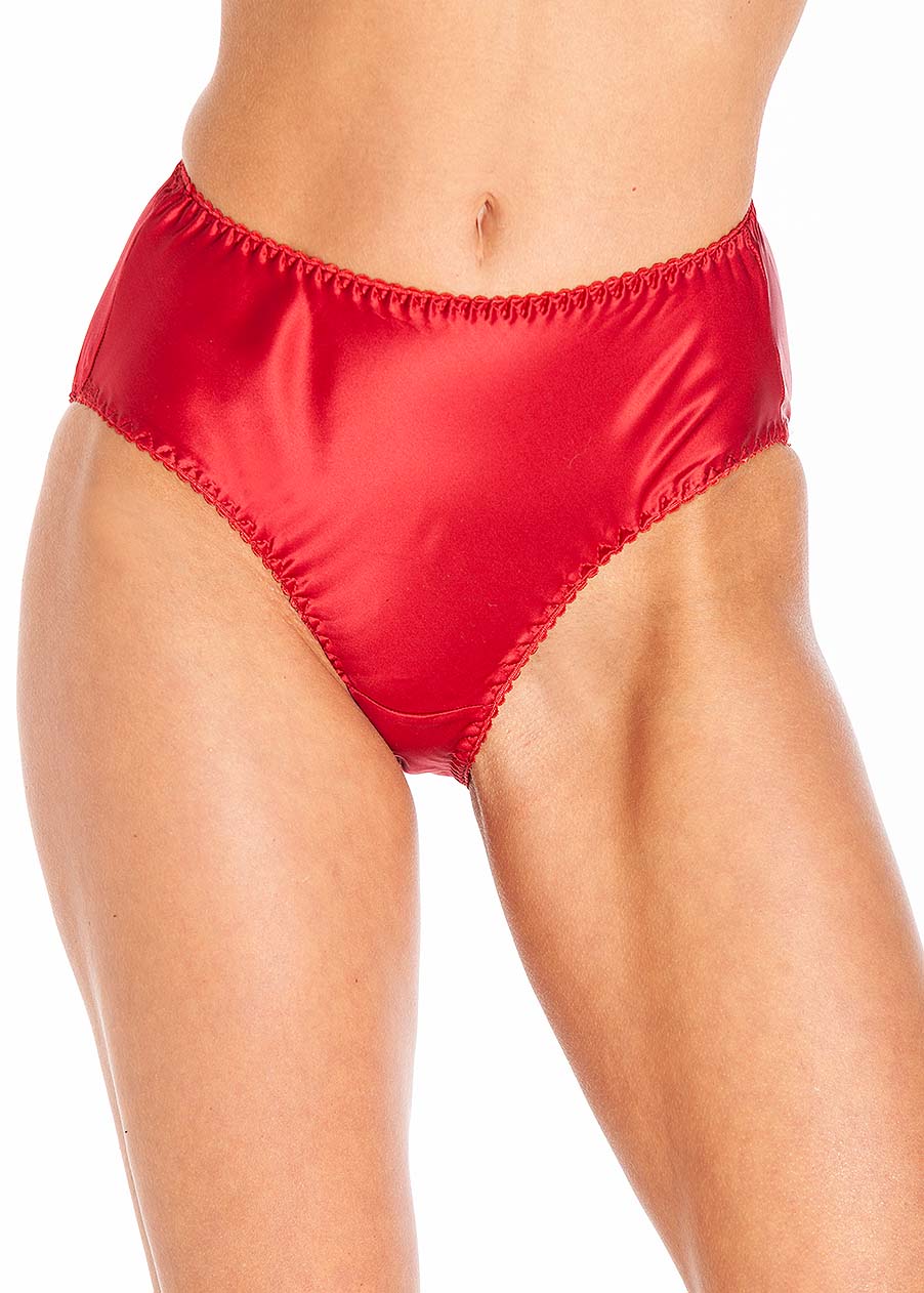 Cranberry silk briefs