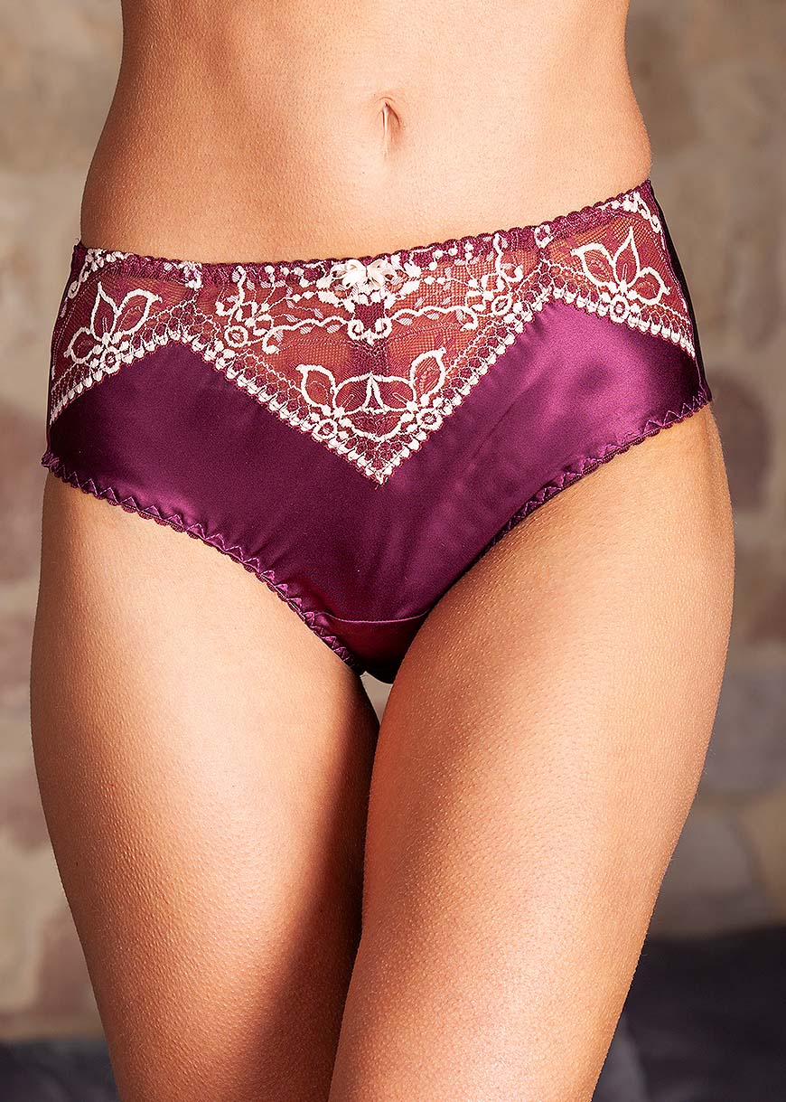 Garnet silk deep briefs