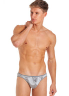 Silver silk briefs