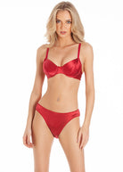 Cranberry stretch silk bra & briefs