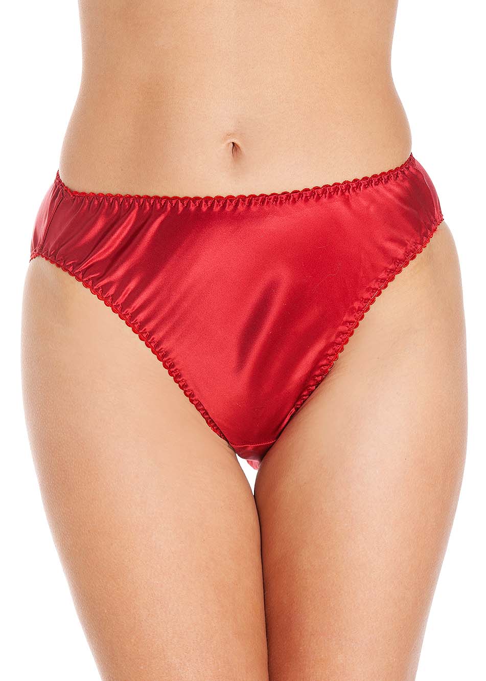 Cranberry silk briefs