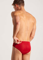 Back view