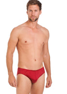 Berry silk jersey brief