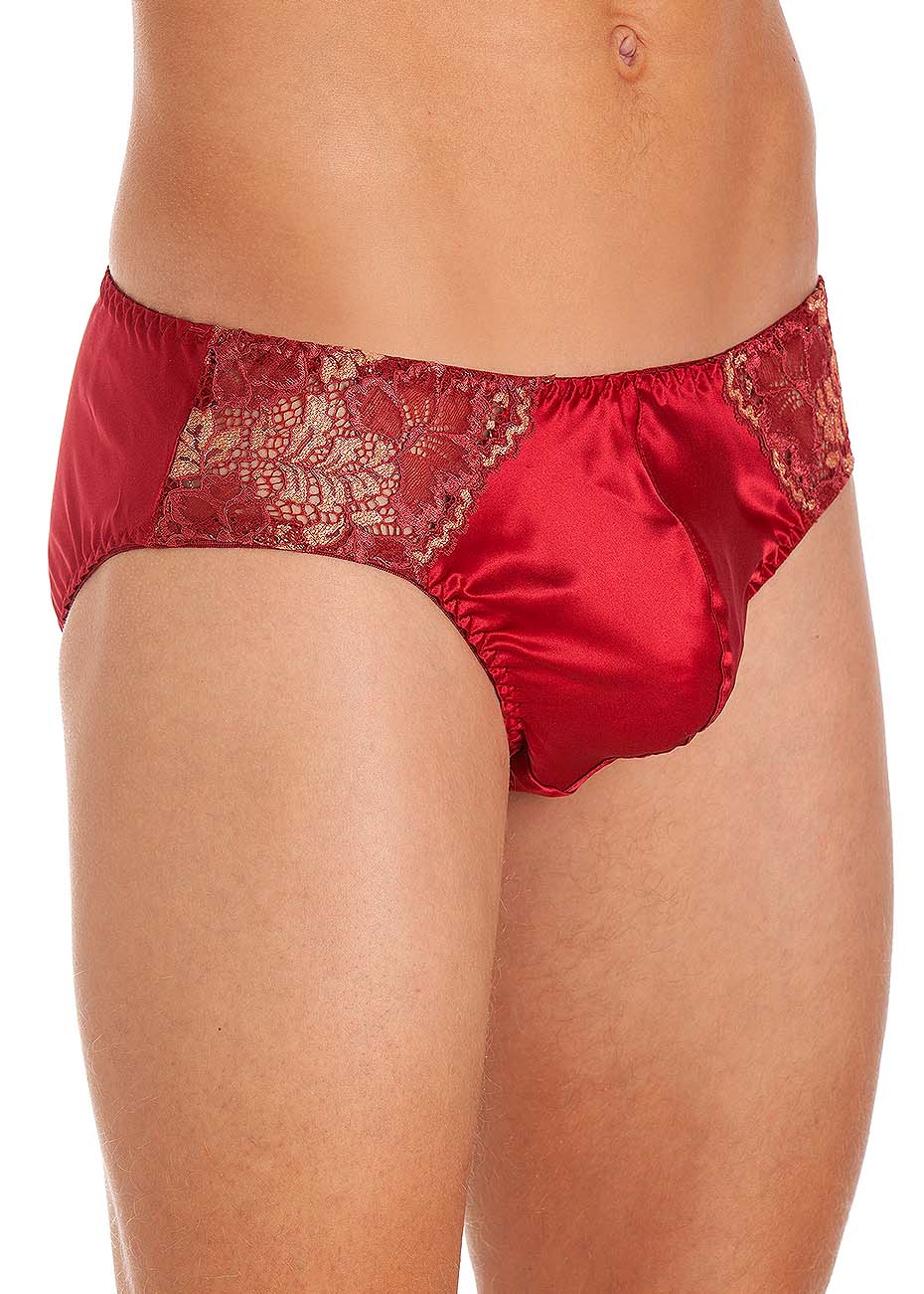 Cranberry silk brief