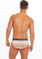 Back view