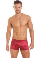 Cranberry silk shorts