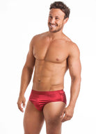 Cranberry stretch silk brief