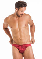 Cranberry stretch silk brief