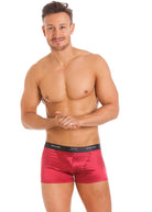 Cranberry stretch silk boxer brief
