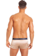 Back view