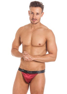 Cranberry stretch silk tanga brief