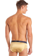 Back view