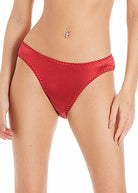 Cranberry silk briefs