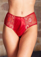 Cranberry silk briefs