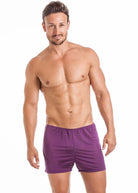 Amethyst silk jersey boxer shorts