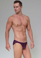 Blackberry silk briefs