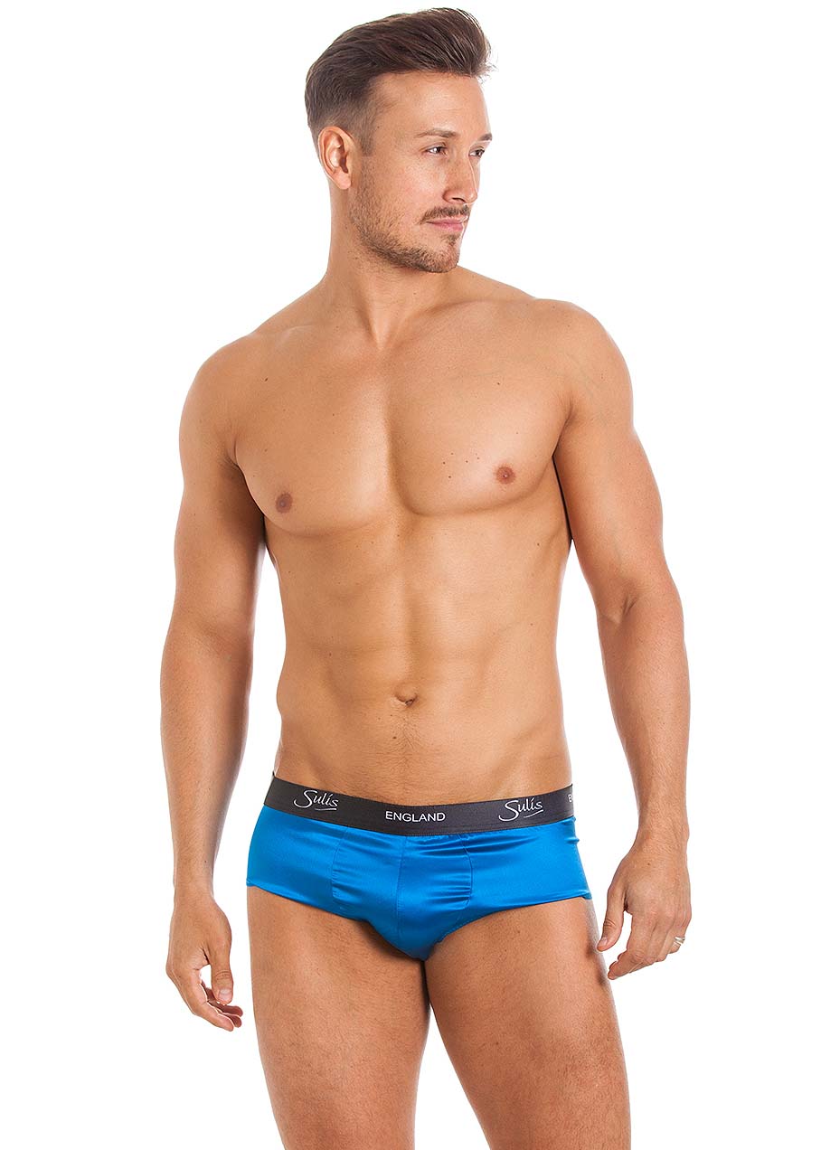 Peacock stretch silk briefs