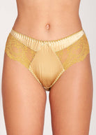 Gold silk briefs