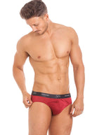 Berry silk jersey brief