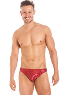 Cranberry silk brief