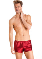 Cranberry silk shorts